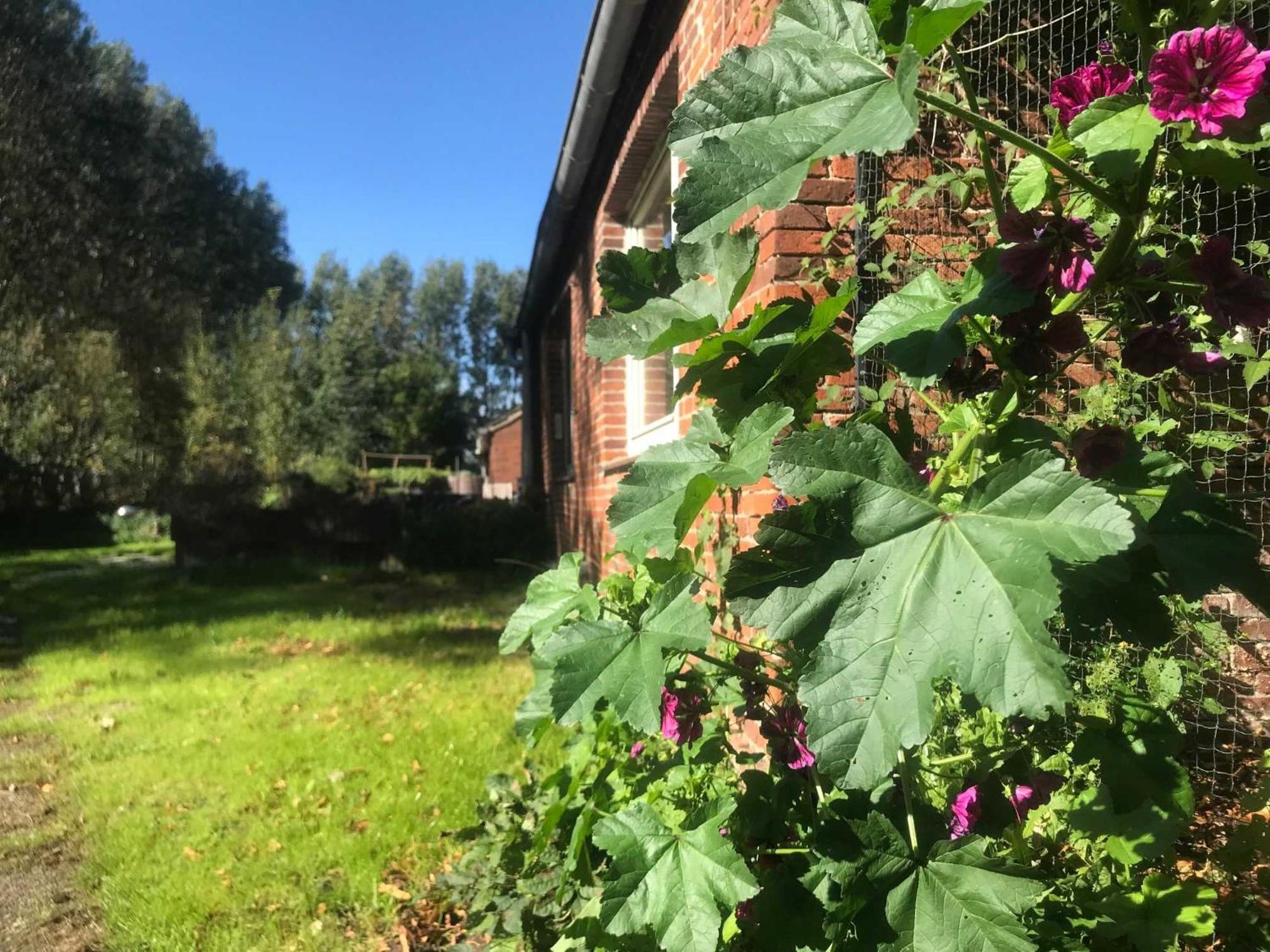 Gulfhof Friedrichsgroden Villa Carolinensiel Bagian luar foto