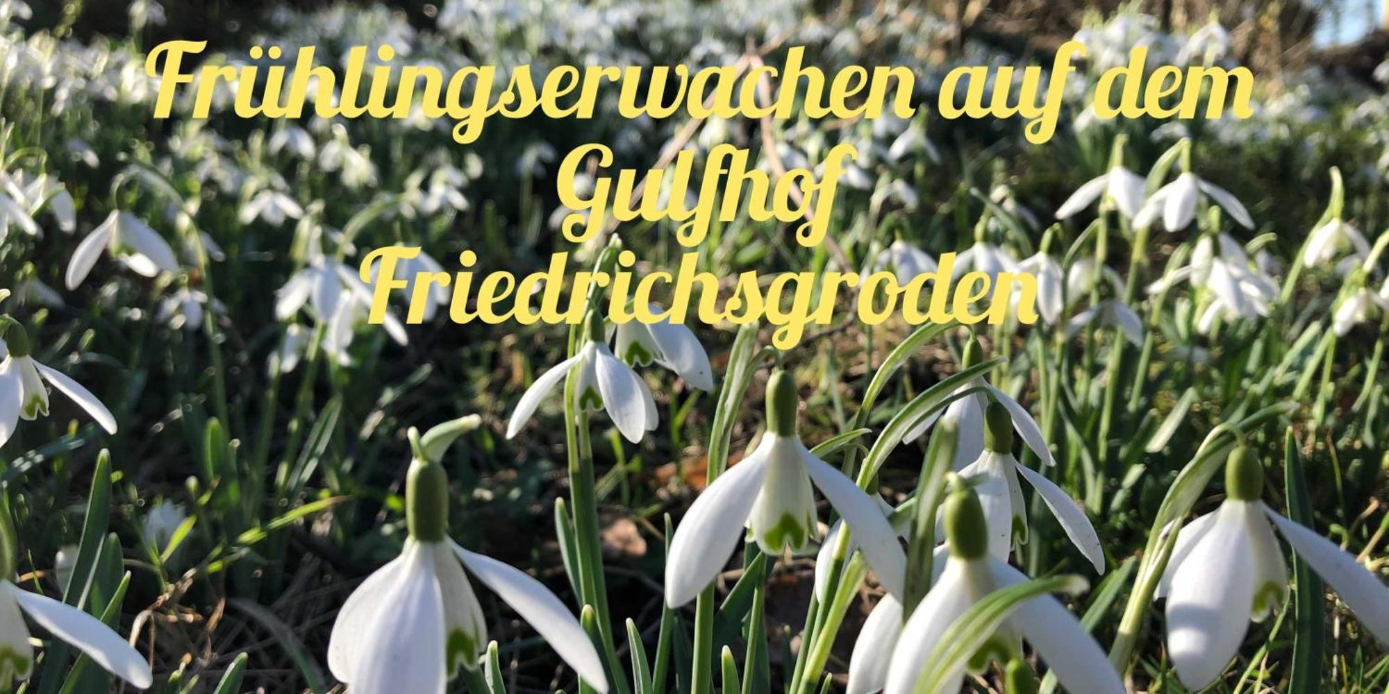 Gulfhof Friedrichsgroden Villa Carolinensiel Bagian luar foto