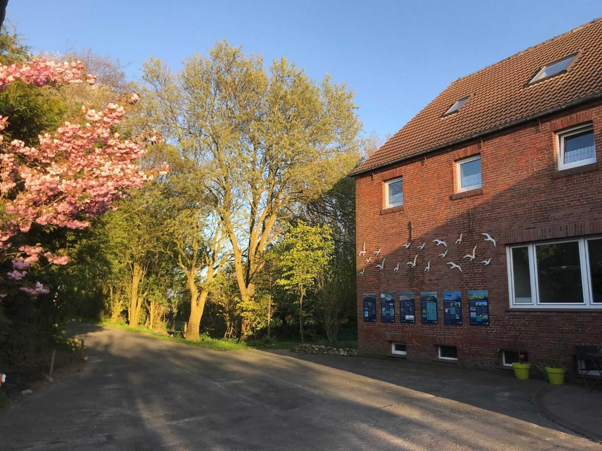 Gulfhof Friedrichsgroden Villa Carolinensiel Bagian luar foto