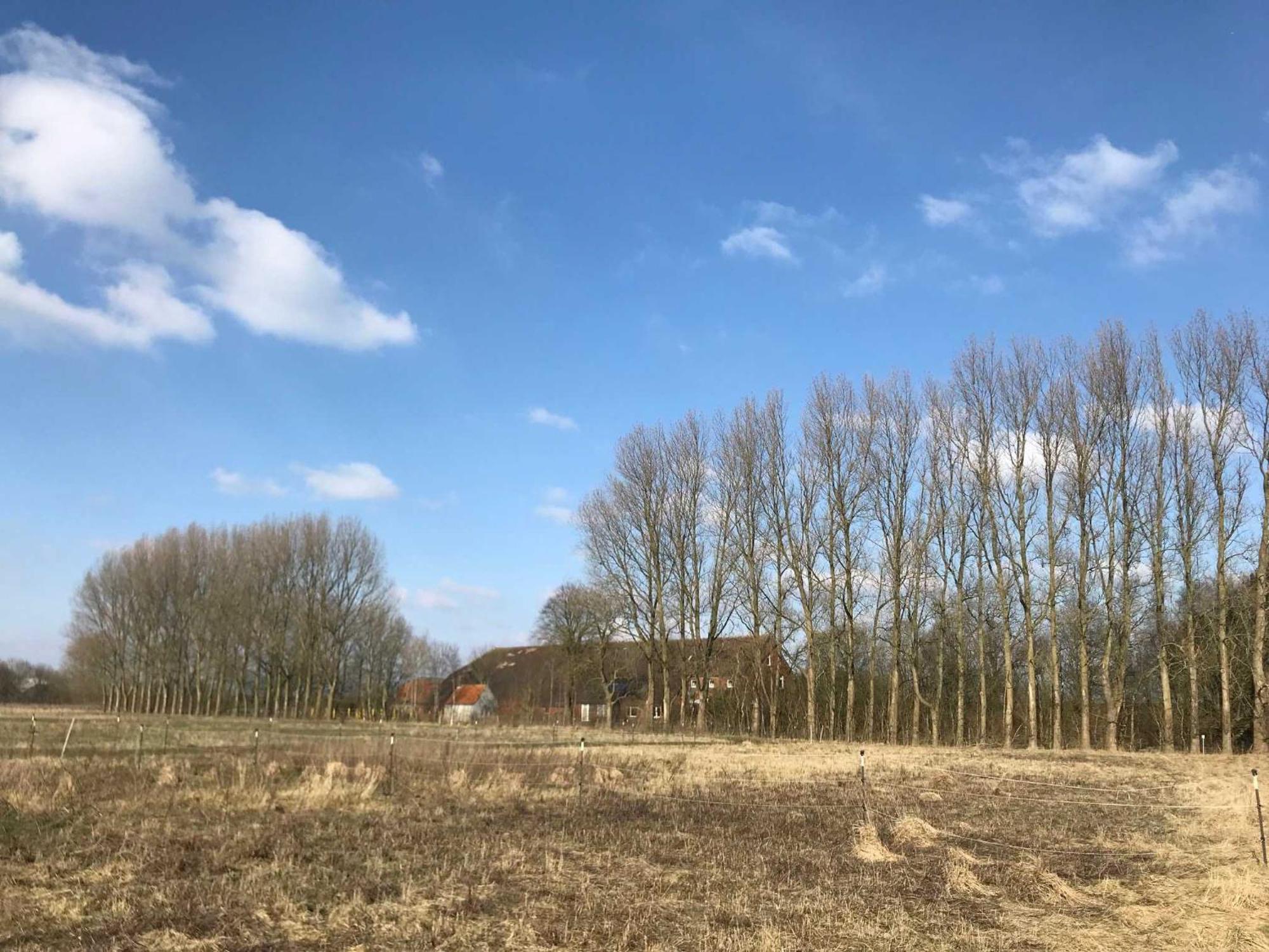 Gulfhof Friedrichsgroden Villa Carolinensiel Bagian luar foto
