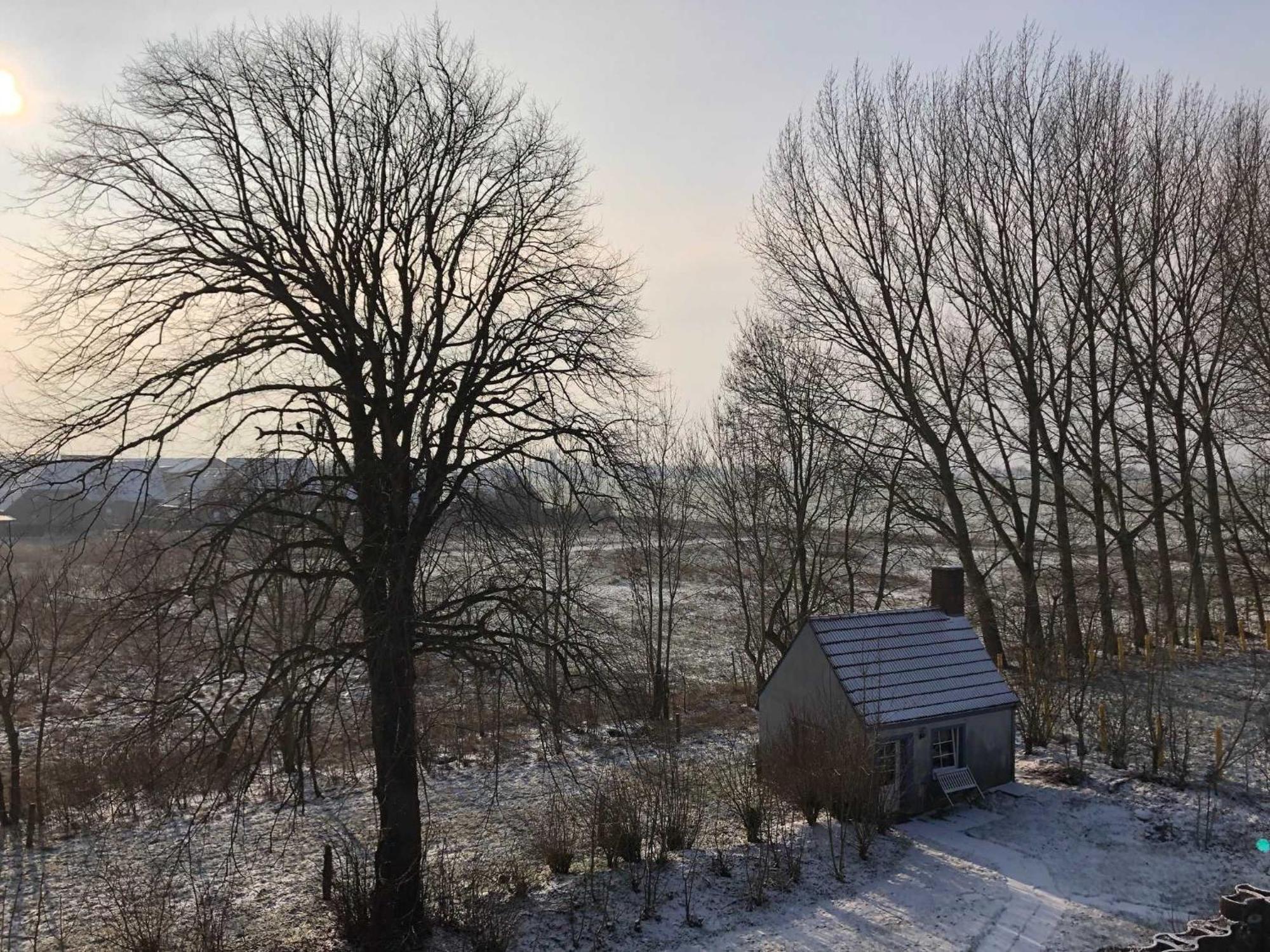 Gulfhof Friedrichsgroden Villa Carolinensiel Bagian luar foto