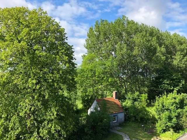Gulfhof Friedrichsgroden Villa Carolinensiel Bagian luar foto